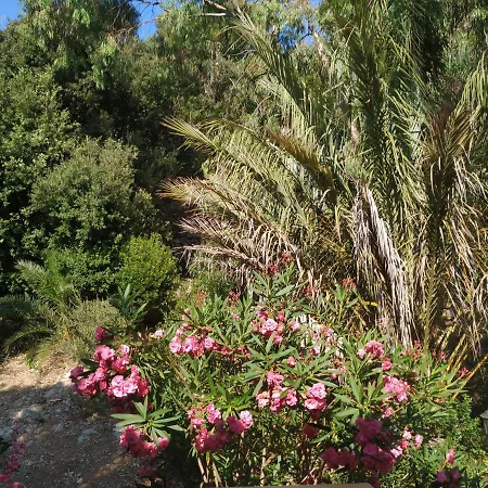 Menorca Cala Galdana (Menorca)